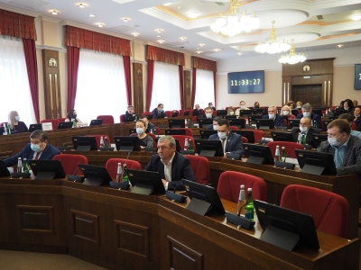 В Думе края состоялось заседание рабочей группы по решению проблемы бездомных животных