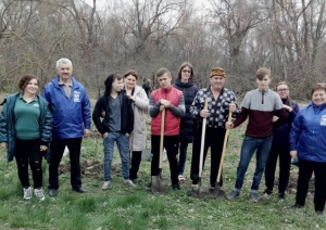 Деревья на радость детям