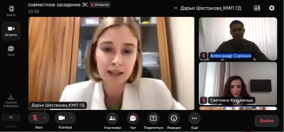 Член Молодежного парламента приняла участие в заседании Экспертных советов Молодежного парламента  при Государственной Думе