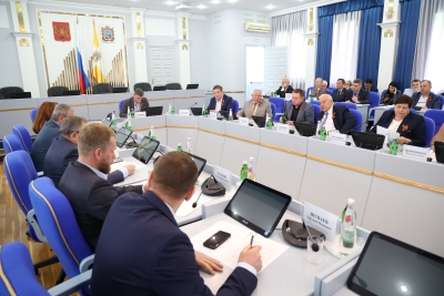 Проекты законов о дополнительной поддержке многодетных семей и детей-сирот рассматриваются в Думе Ставрополья