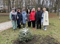 В Комсомольском парке города Пятигорска появились новые ели