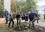 Депутаты Думы края приняли участие во Всероссийской акции «Сохраним лес»