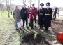Николай Великдань посадил тополь Победы в рамках международной акции